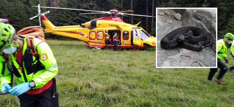 Una 15enne viene morsa da un serpente, attimi di paura in val di Fassa